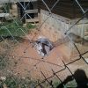 wilma 0915